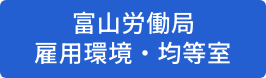 富山労働局　雇用環境・均等室